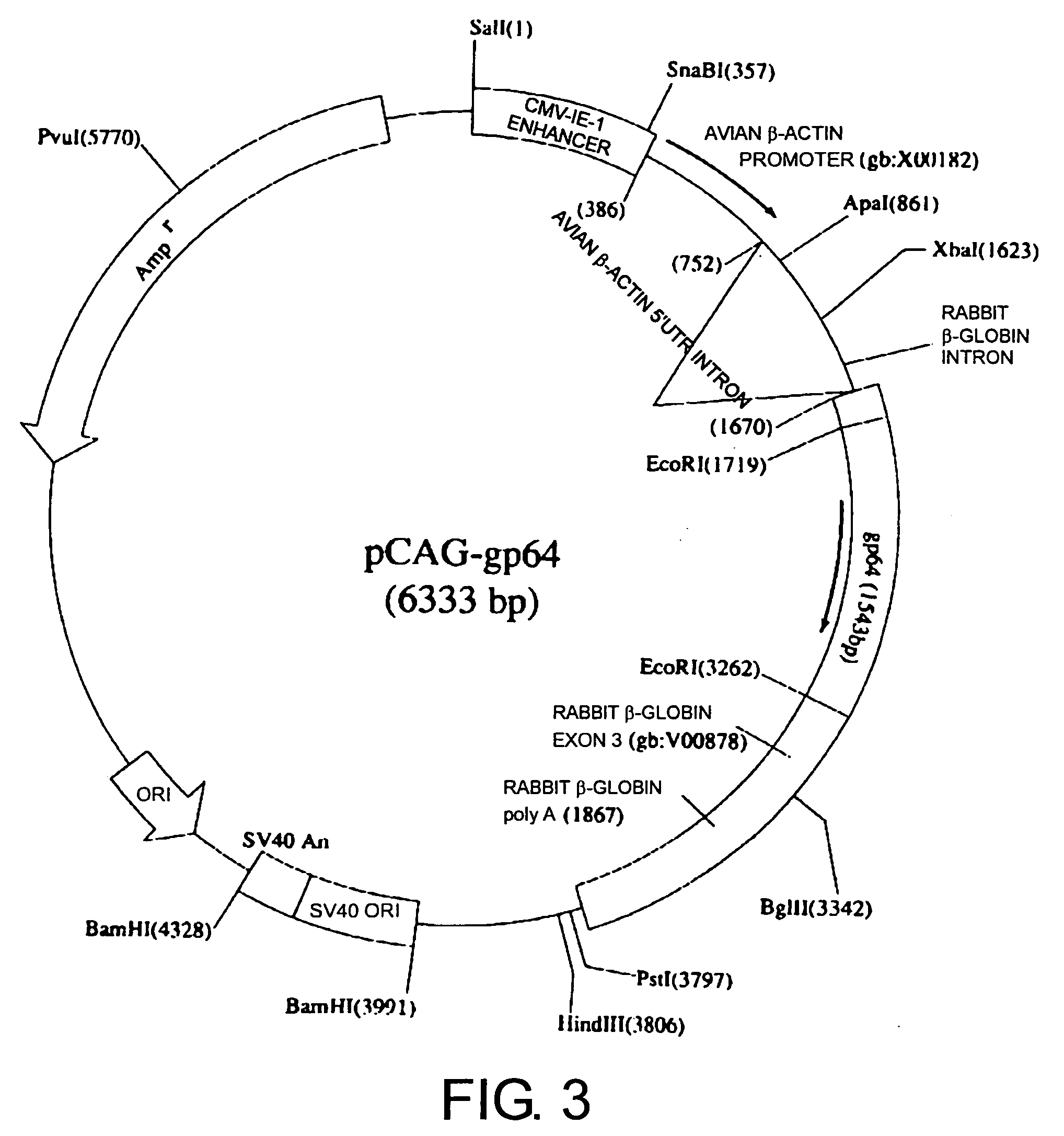 Method of constructing antibody