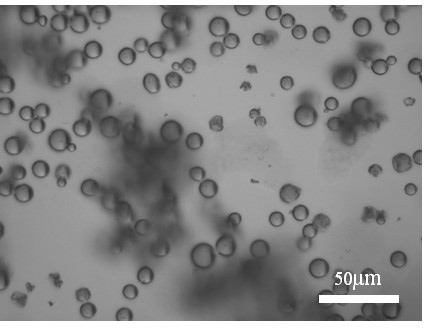 Porous and magnetic anisotropy microspheres and preparation method thereof