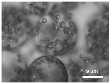 Porous and magnetic anisotropy microspheres and preparation method thereof