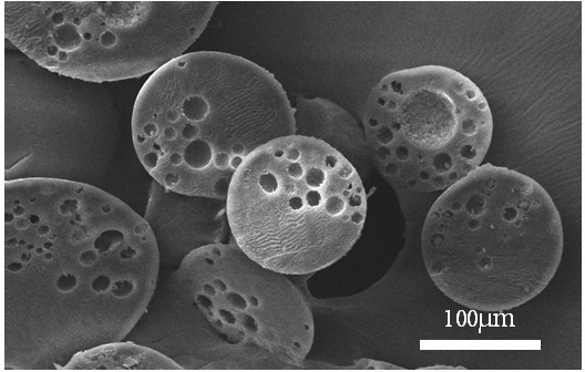 Porous and magnetic anisotropy microspheres and preparation method thereof