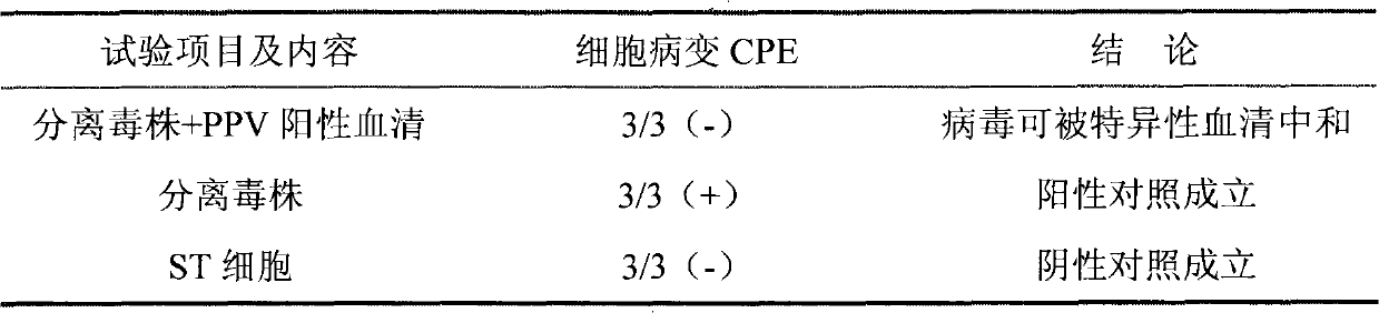 Method for preparing porcine parvovirus inactivated vaccines