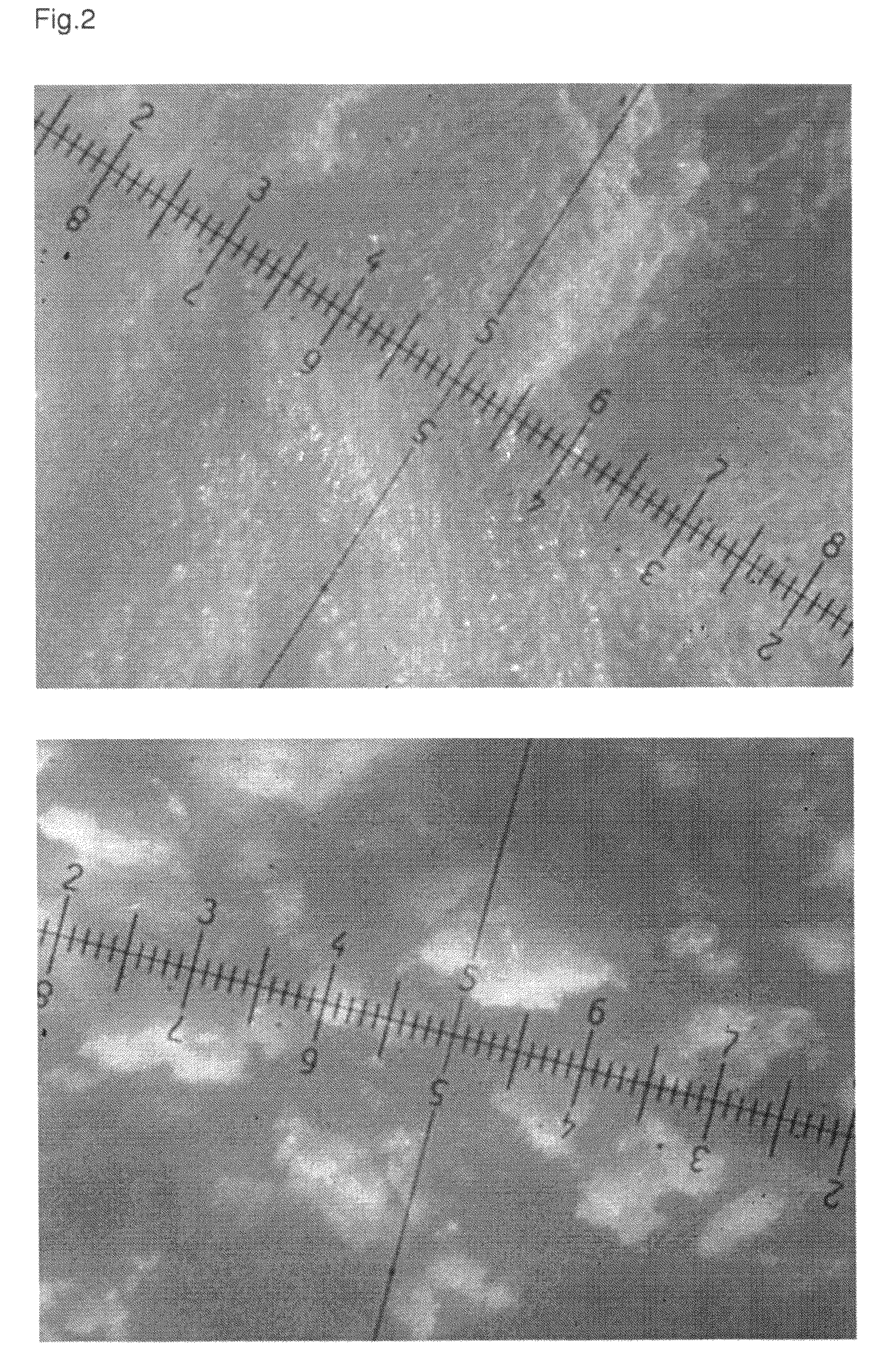 Highly porous, fast-disintegrating solid dosage form and its way of manufacturing comprising the preparation of a powder and a freezedrying step