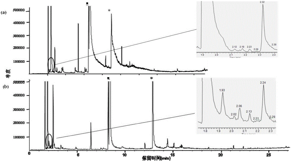 Analysis method for volatile organic compound in pleural effusion