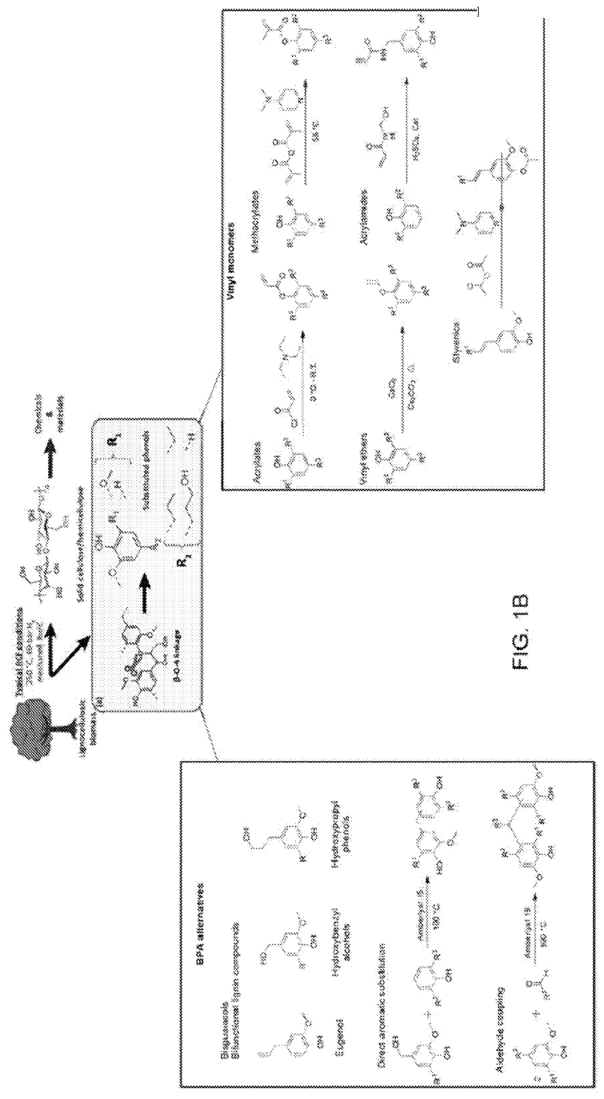 Bio-based polysulfones and uses thereof