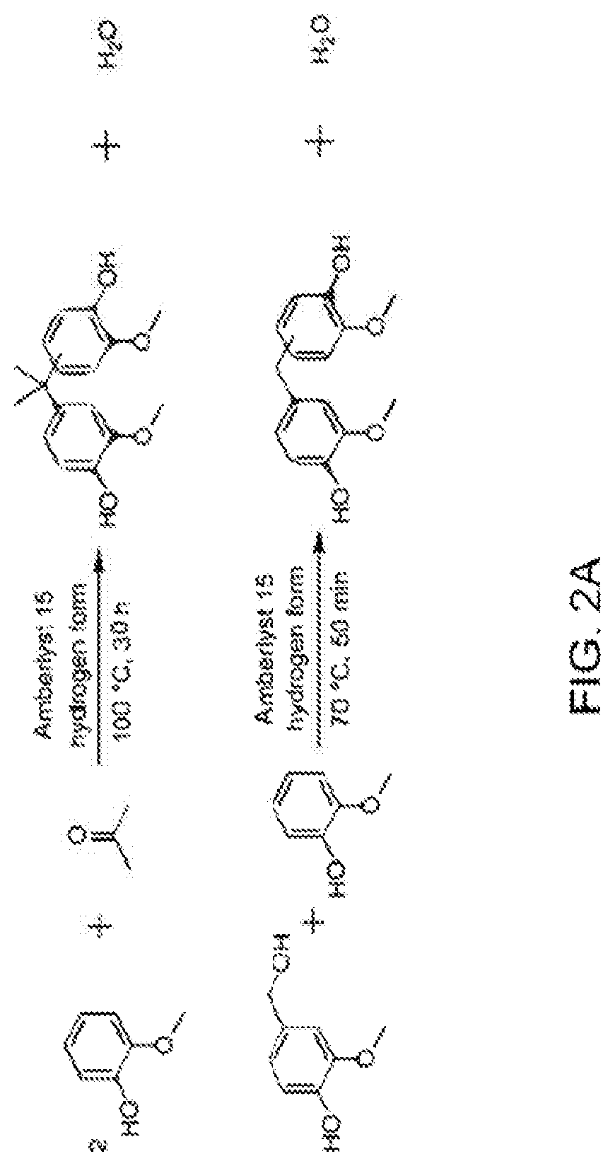 Bio-based polysulfones and uses thereof