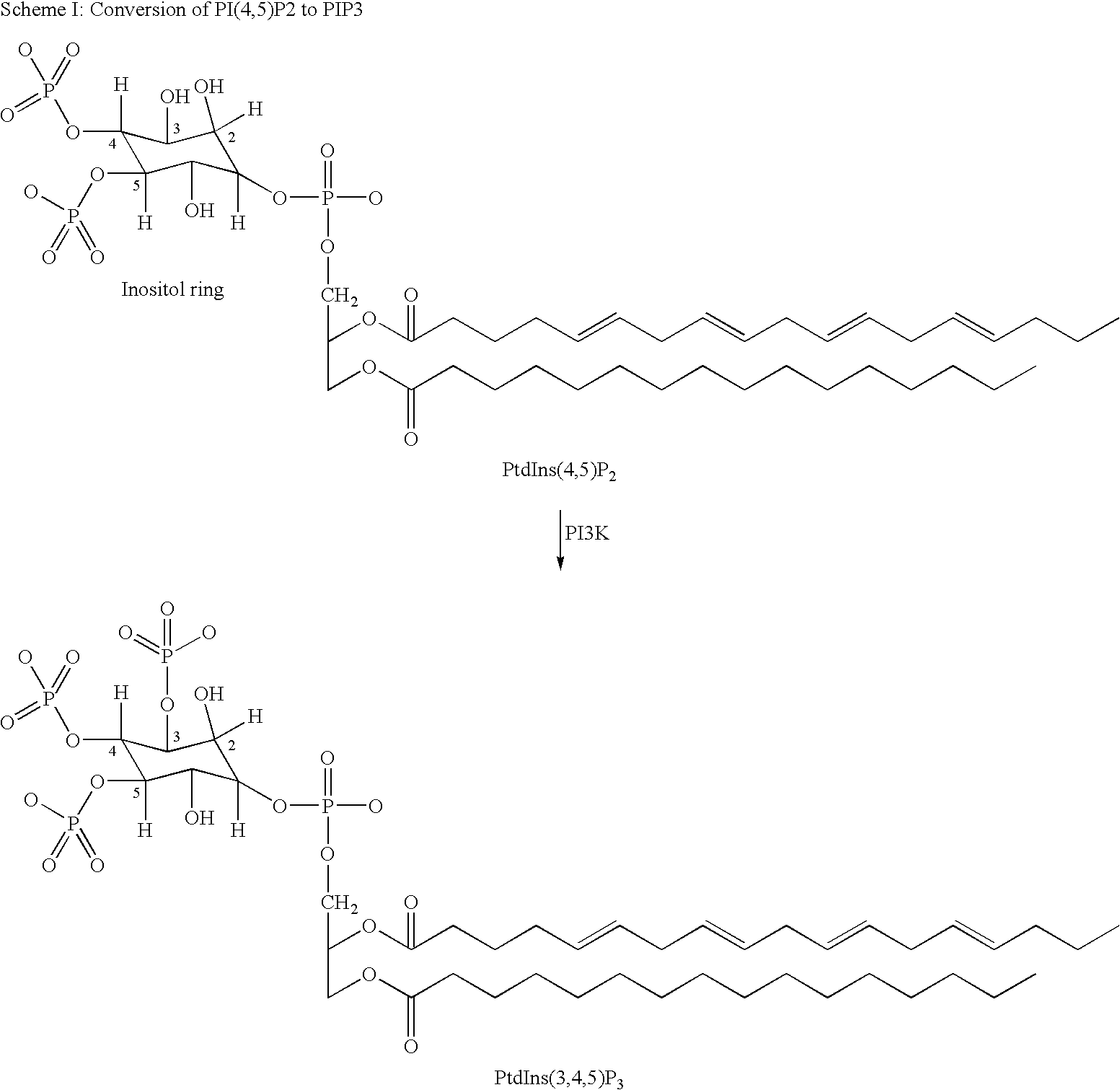 Quinazoline derivatives as p13 kinase inhibitors