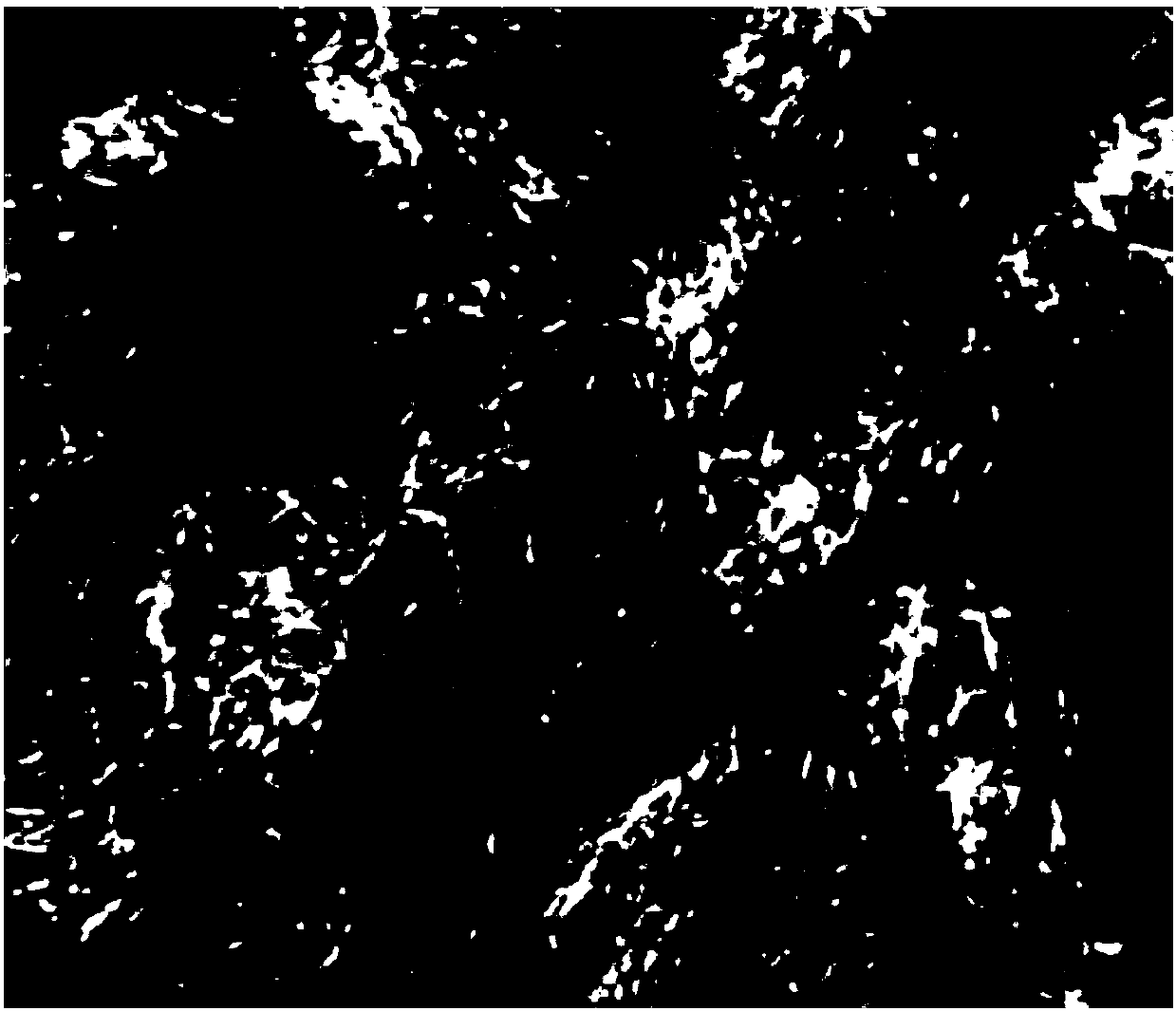 Light-duty high-temperature-resistant and high-specific-surface-area polyimide conductive pulp and preparation method therefor