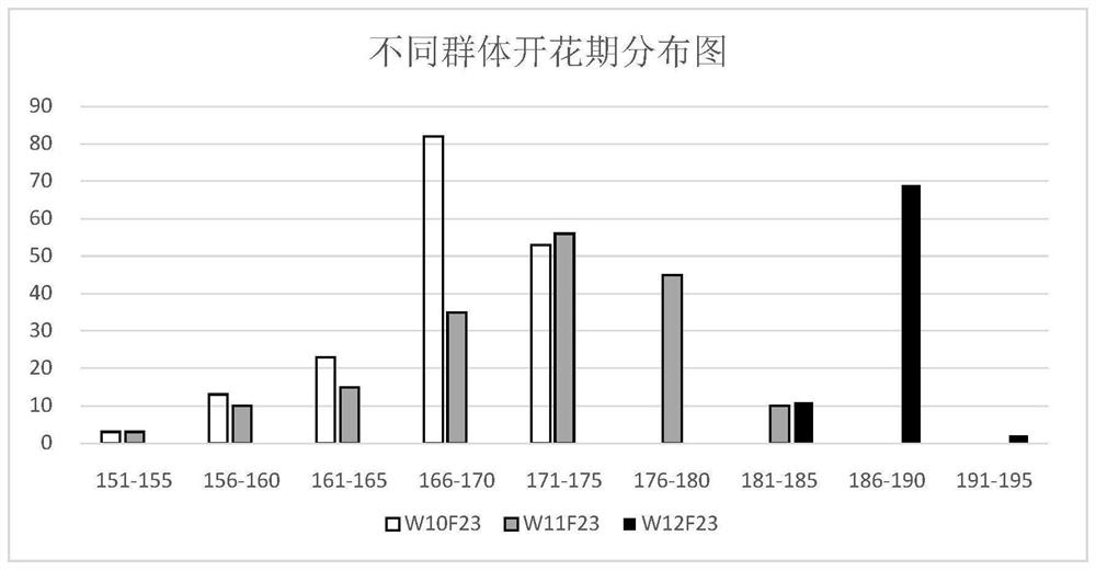 The Molecular Marker brsf0239 Primer and Its Application of the Major Qtl Locus in Flowering and Ripening Stages of Brassica napus