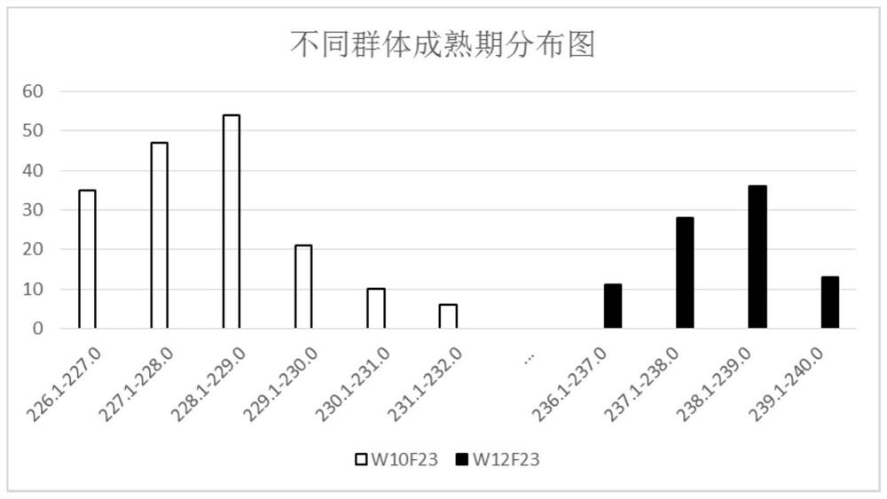 The Molecular Marker brsf0239 Primer and Its Application of the Major Qtl Locus in Flowering and Ripening Stages of Brassica napus