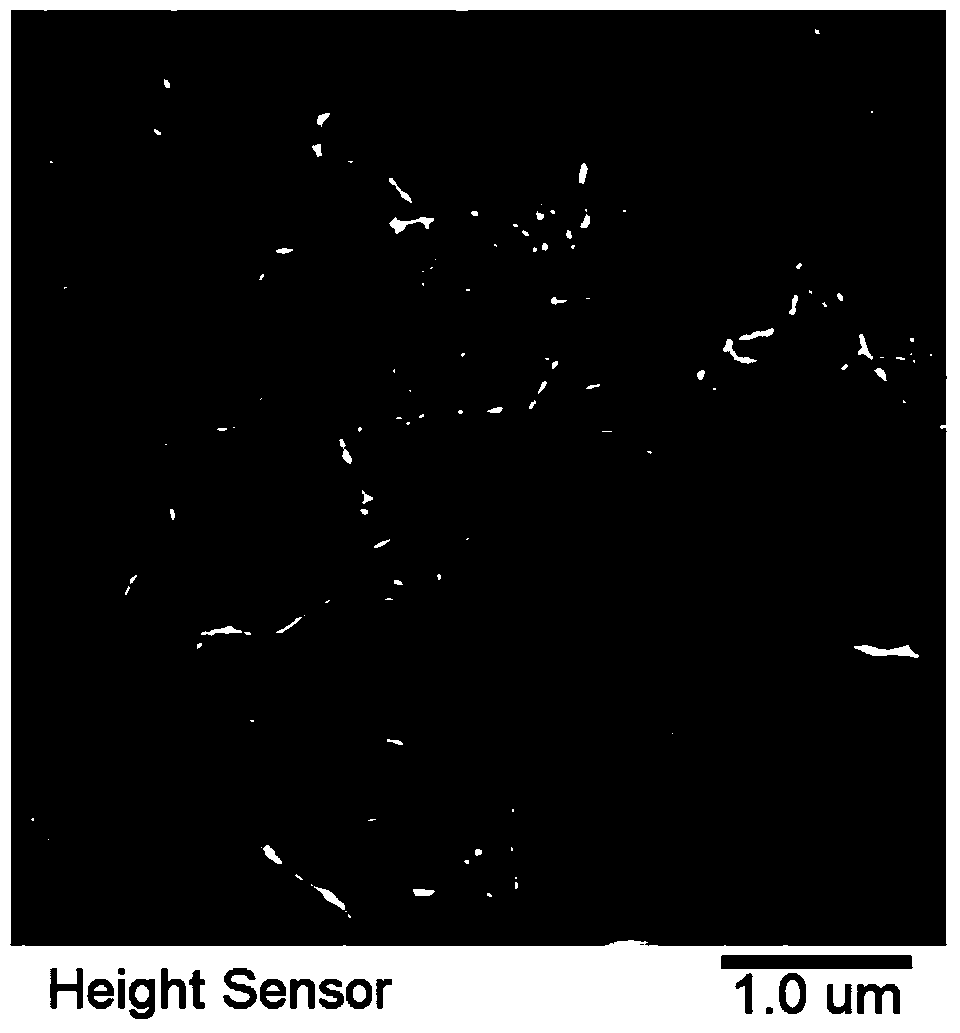 Functional self-assembling nano peptide hydrogel