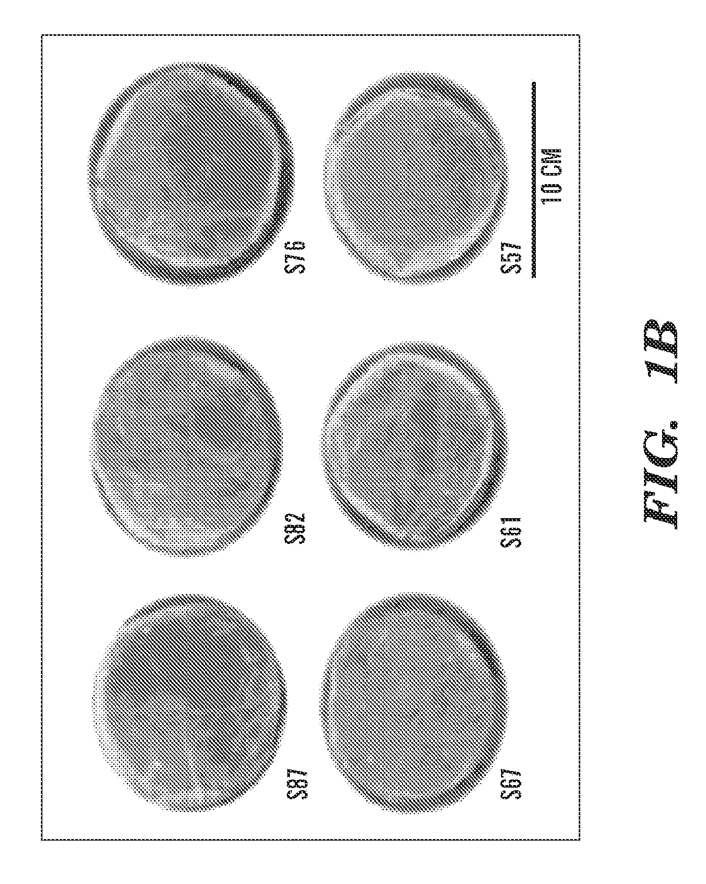 Electrospun silk material systems for wound healing