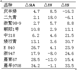 Method for identifying rice nitrogen efficient varieties in seedling stage