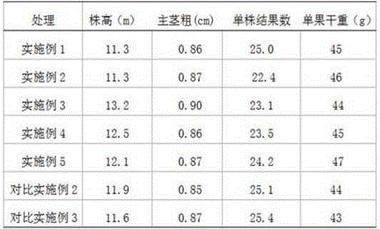 Method for combining toad breeding and pinellia ternata and trichosanthes kirilowii Maxim. planting