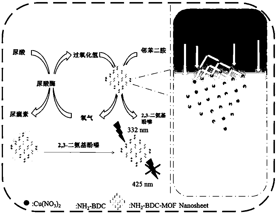 Fluorescence sensor for detecting uric acid and preparation method thereof