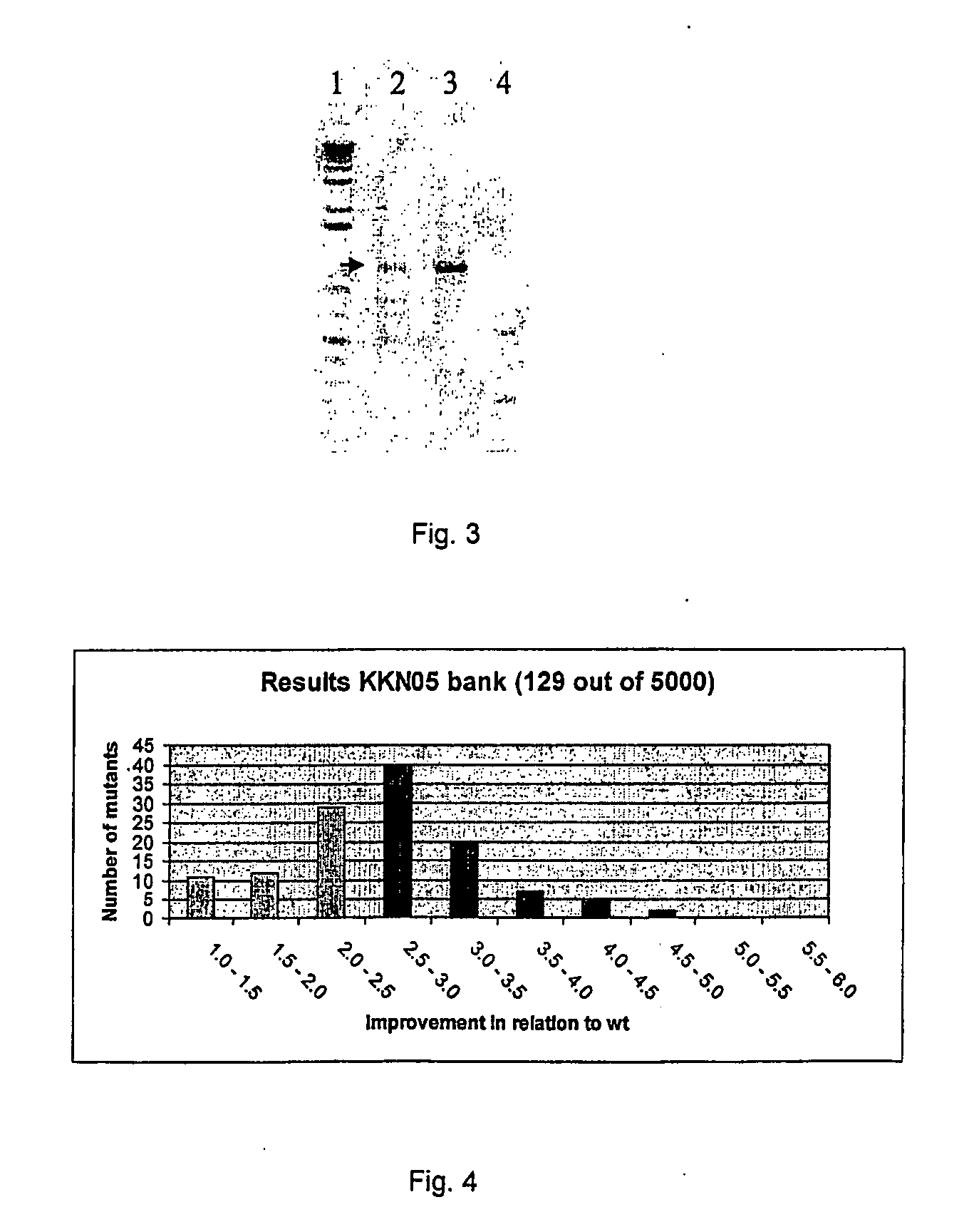 Process for preparing variant polynucleotides