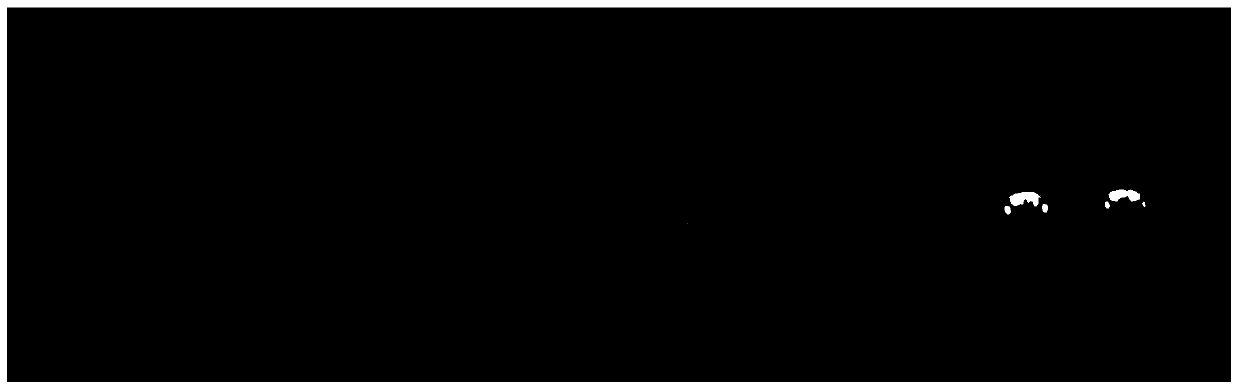 Pig-specific friendly site pifs501 and its application