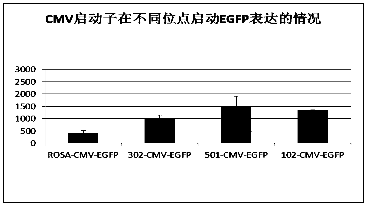 Pig-specific friendly site pifs501 and its application