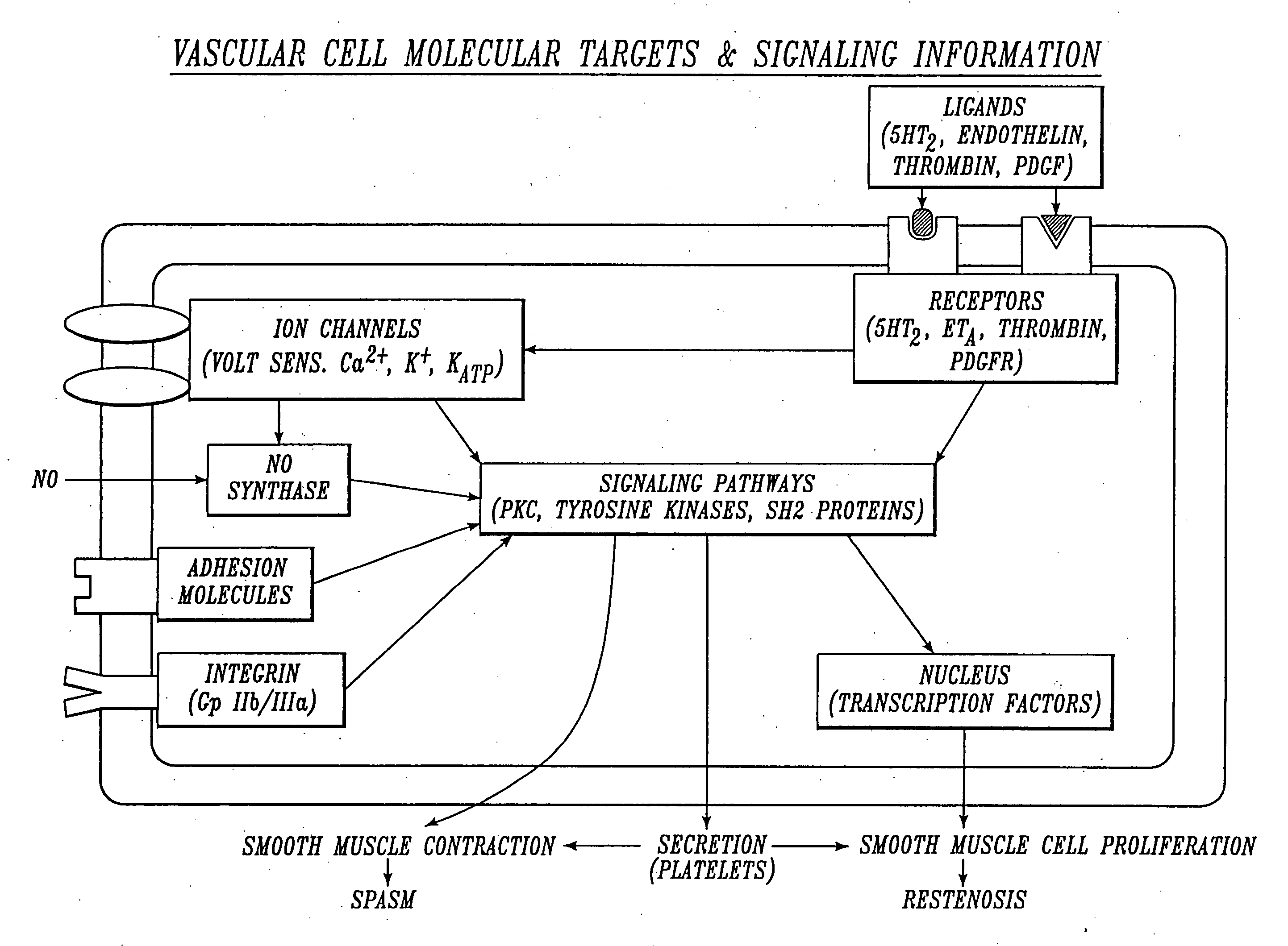 Irrigation solution and method for inhibition of pain, inflammation, spasm and restenosis