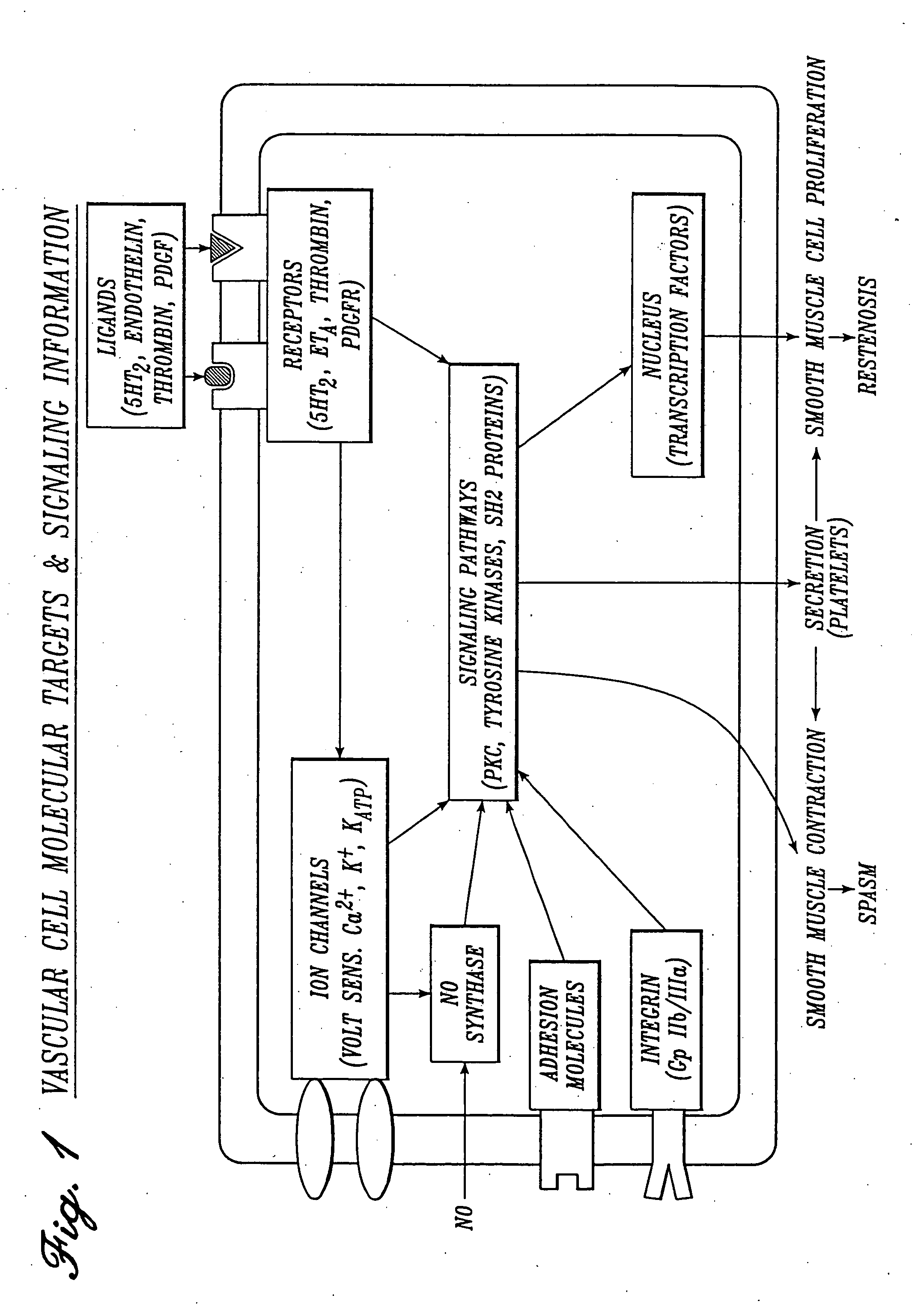 Irrigation solution and method for inhibition of pain, inflammation, spasm and restenosis