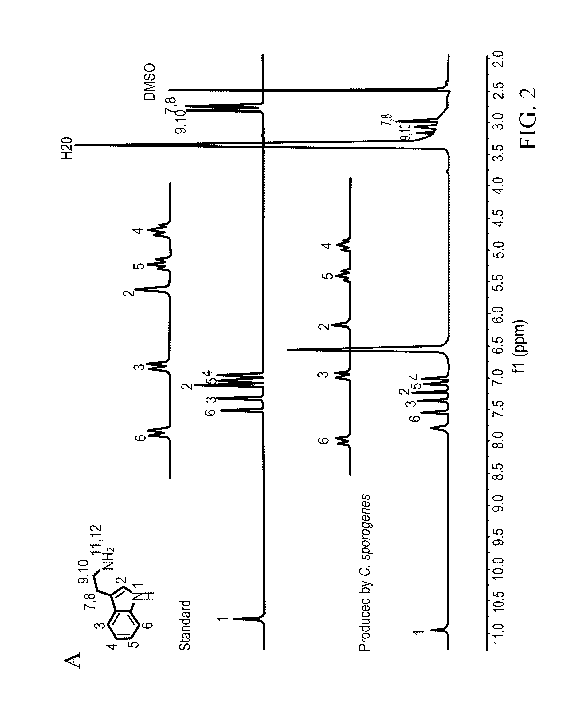 Methods and materials for using ruminococcus gnavus or clostridium sporogenes to treat gastrointestinal disorders