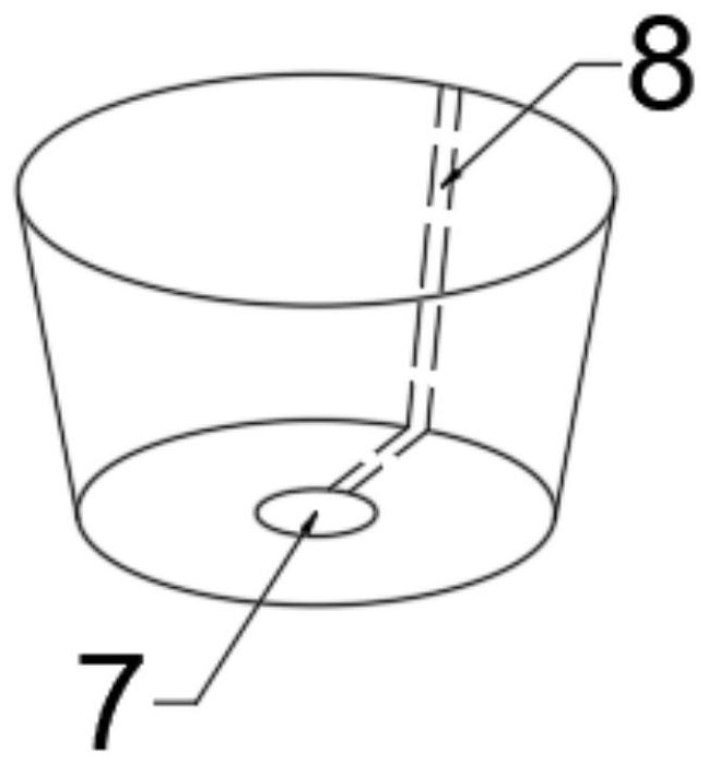 Grafting-free noninvasive colonization method for plants