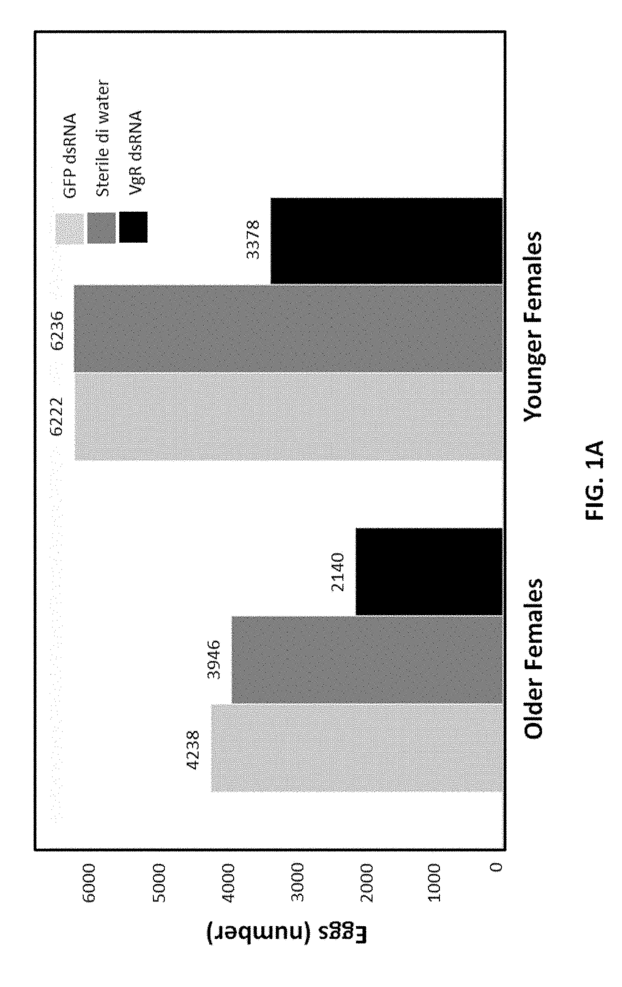 Compositions and methods to control insect pests