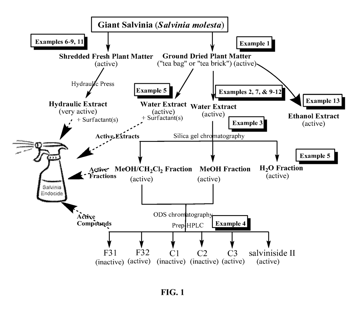 Compositions and methods to selectively control invasive species