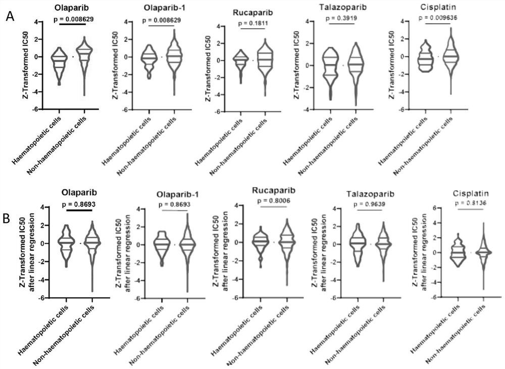 Application of biomarker for predicting sensitivity of tumor patient to specific anti-tumor drug