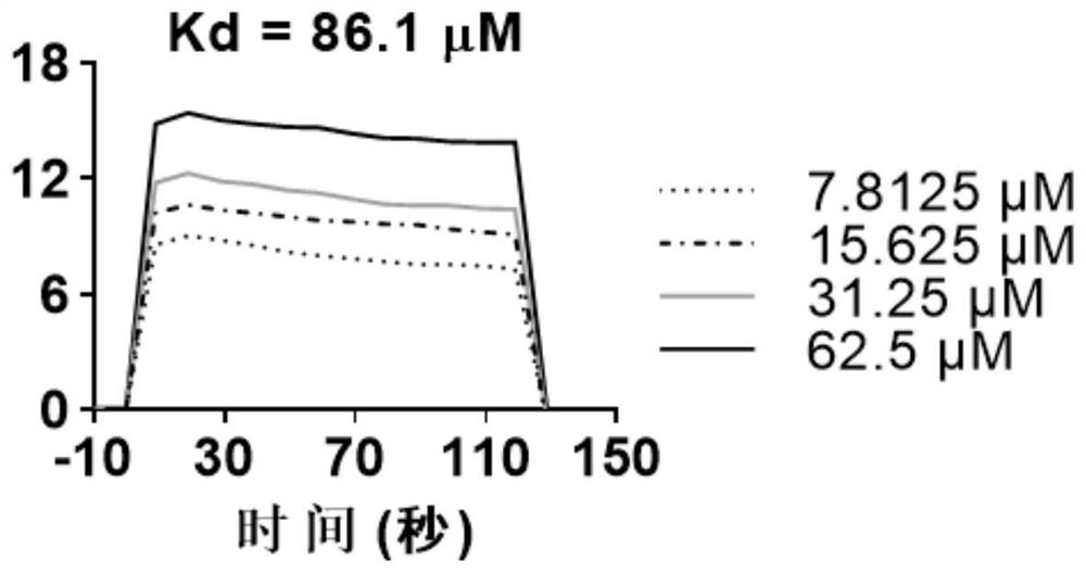 Application of rhinanthin as ACE2 activator