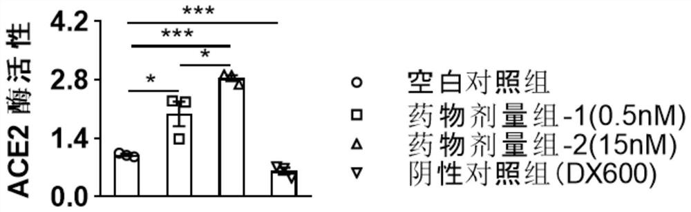 Application of rhinanthin as ACE2 activator