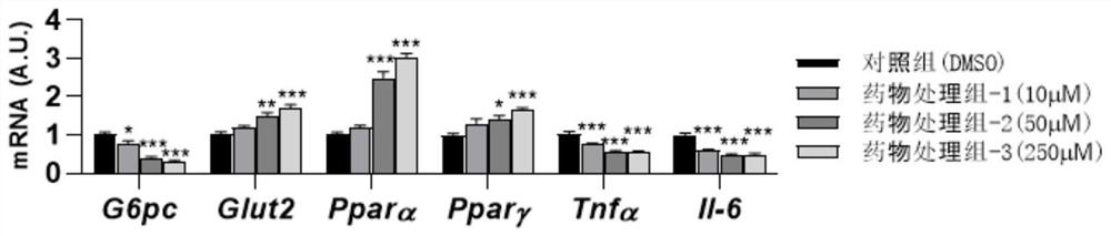 Application of rhinanthin as ACE2 activator