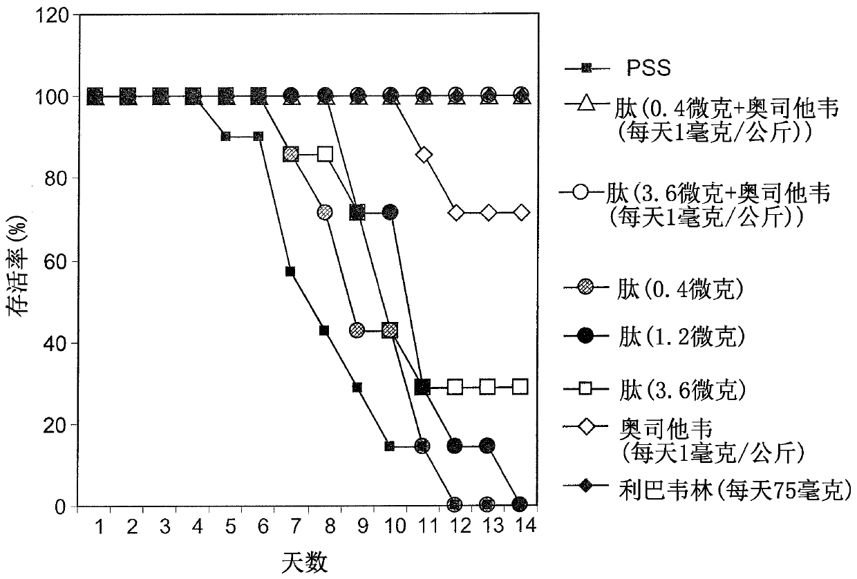 Peptides for use in the treatment of viral infections