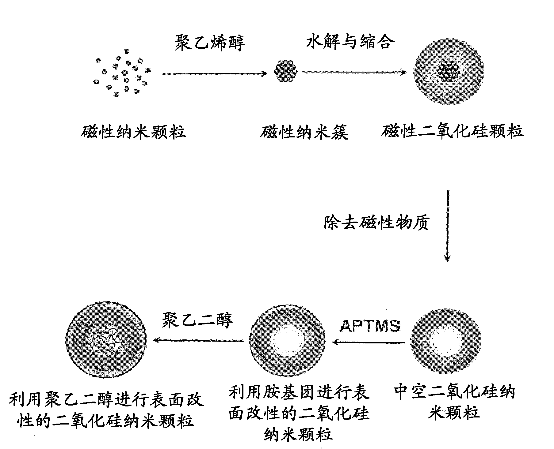 Porous hollow silica n anop articles, preparation method of the silica nanoparticles, and drug carriers and pharmaceutical composition comprising the silica nanoparticles