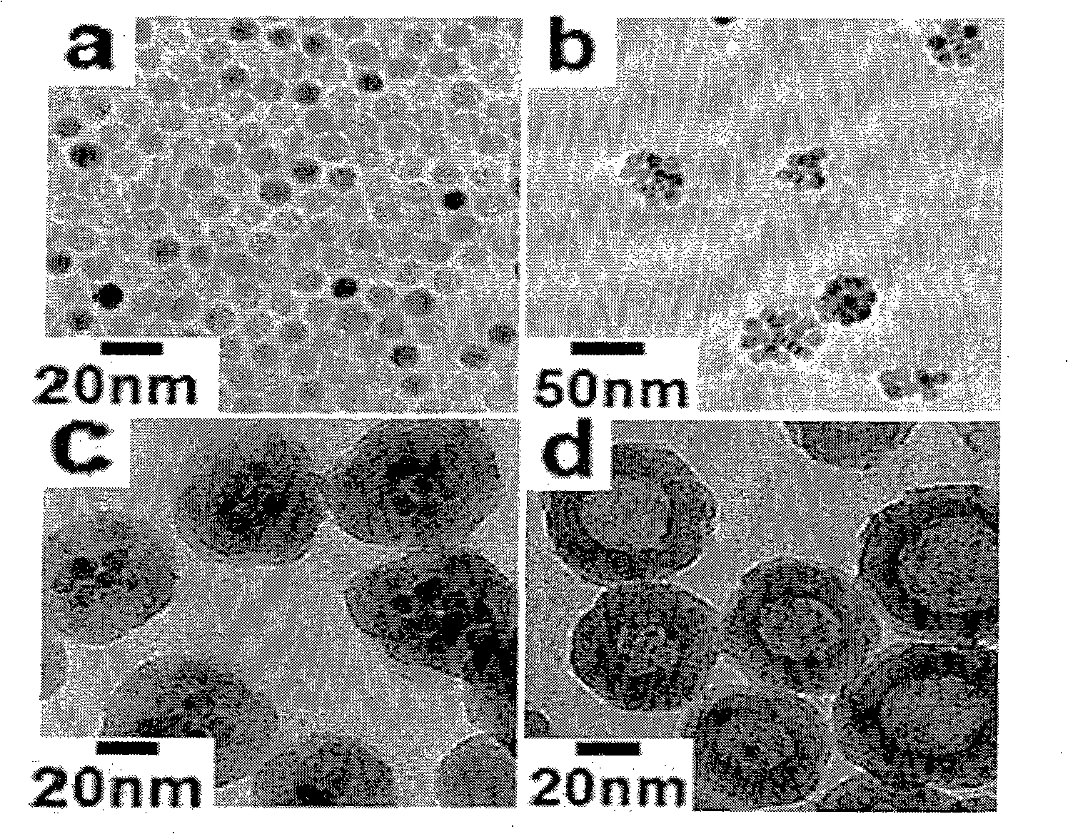 Porous hollow silica n anop articles, preparation method of the silica nanoparticles, and drug carriers and pharmaceutical composition comprising the silica nanoparticles