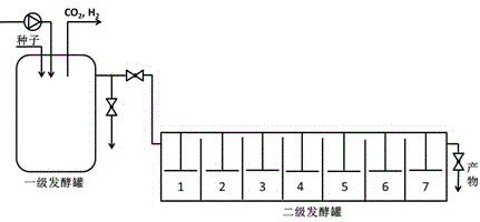 Device and method for producing butyl alcohol through continuous fermentation of lignocellulose