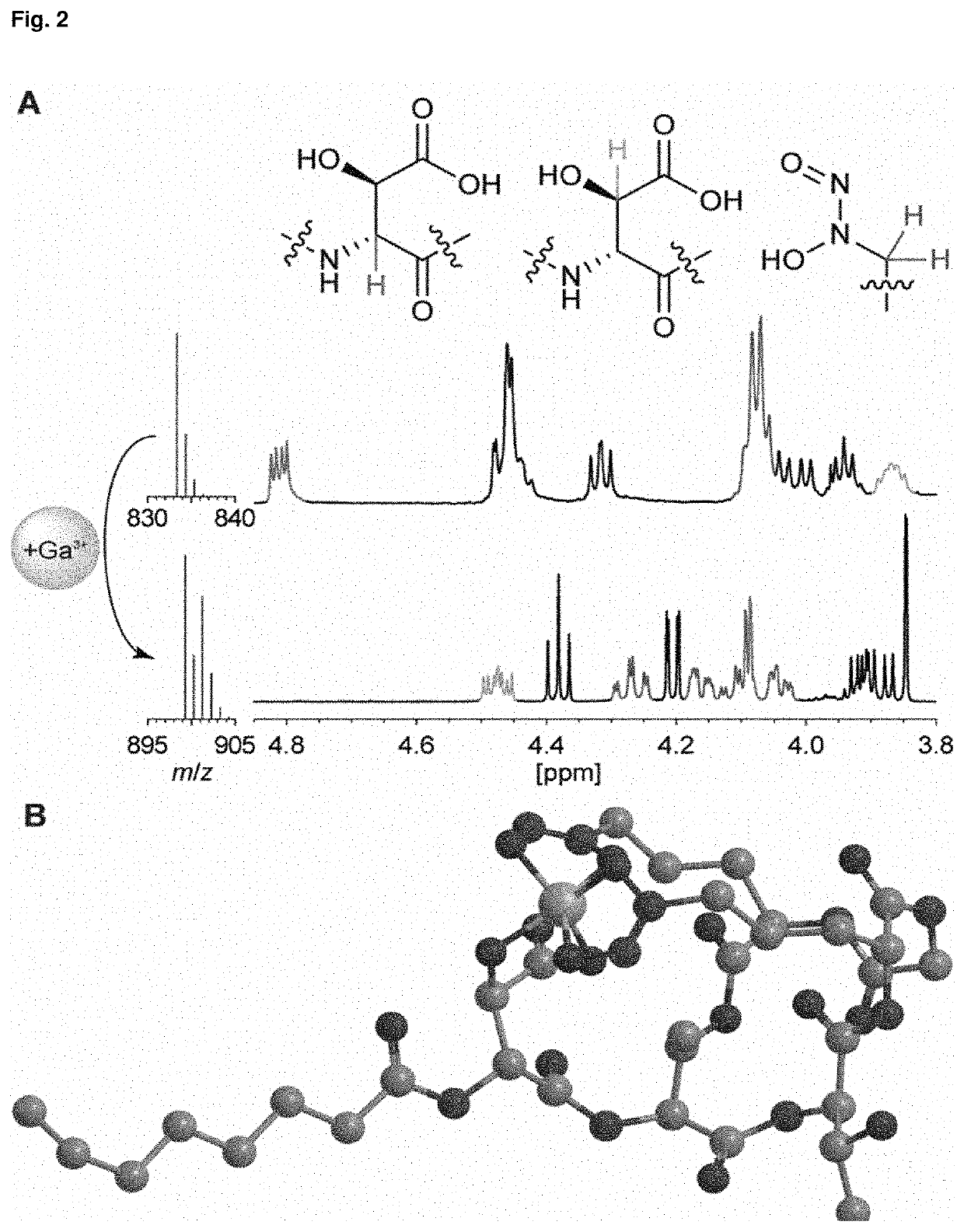 Bacterial siderophore gramibactin