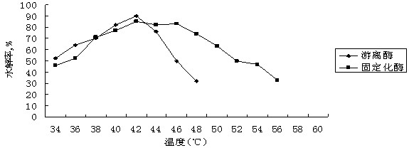 Preparation method of immobilized lipase