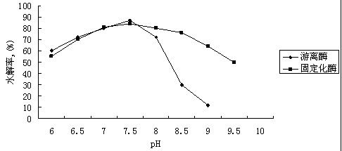 Preparation method of immobilized lipase