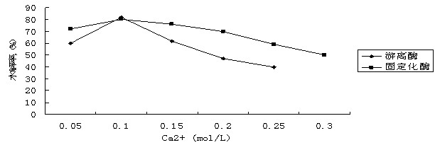 Preparation method of immobilized lipase