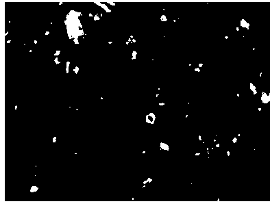 A kind of damping composite material and preparation method thereof