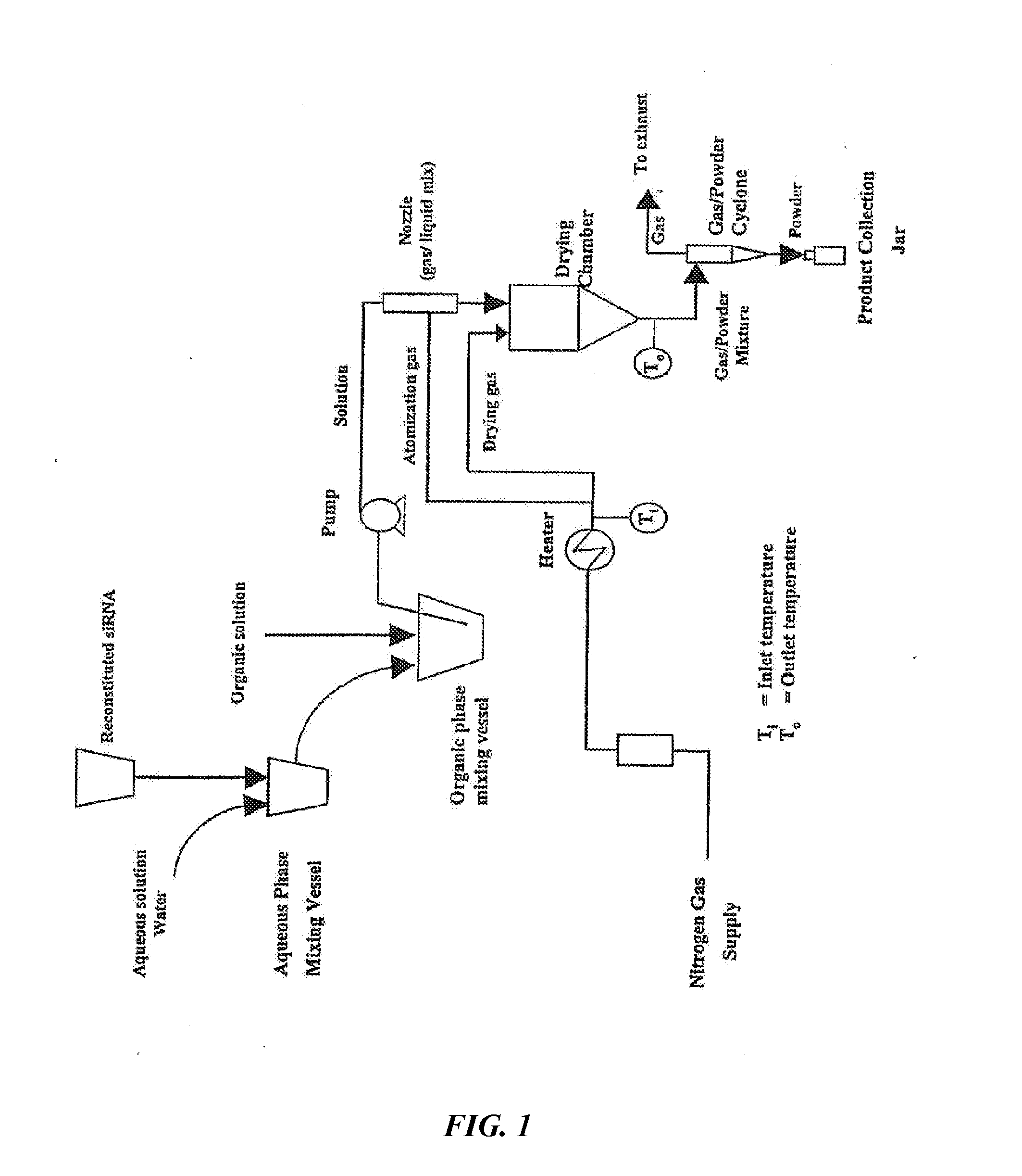 Dry powder compositions for RNA influenza therapeutics