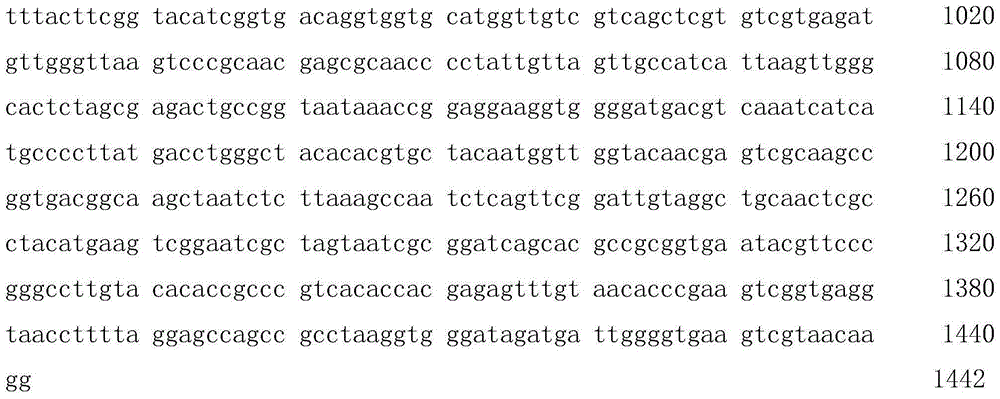 Streptococcus and its inactivated cow mastitis vaccine