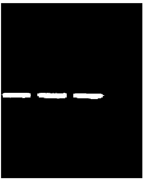 Improved sulfite sequencing method