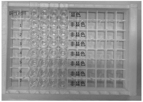 Rapid detection kit for simultaneously detecting sulfonamide, florfenicol, tilmicosin and trimethoprim in pork