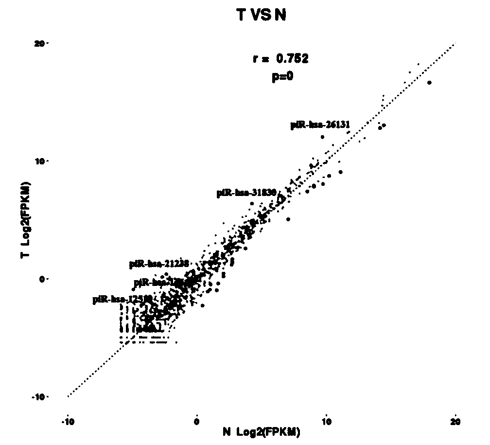 Application of piRNA-26131 in preparation of thyroid cancer diagnostic and prognostic marker