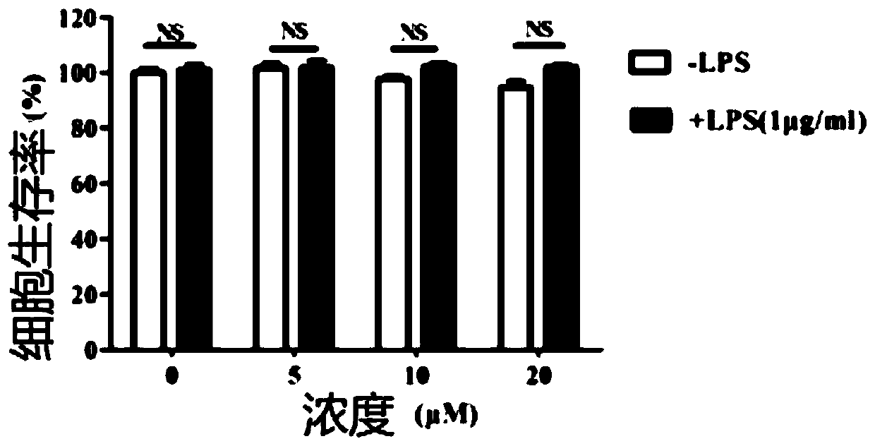 Application of myricetin and/or myricetin in the preparation of medicines for preventing and/or treating inflammatory bowel disease