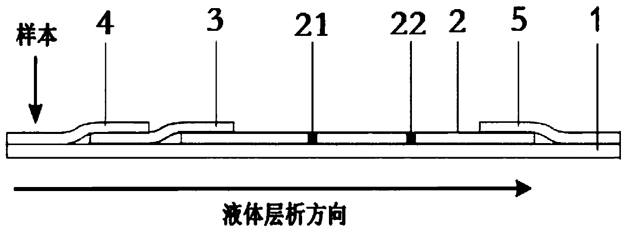 Paraquat hapten, complete antigen, nano-antibody, detection test paper, kit, preparation method and application of paraquat hapten, preparation method of nano-antibody