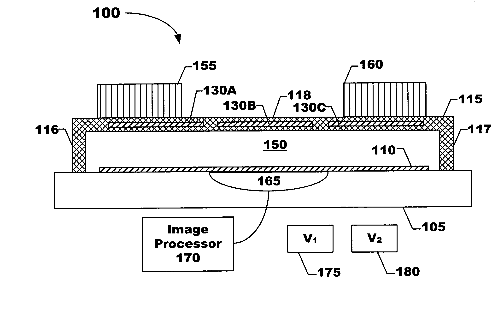 Asymetric membrane cMUT devices and fabrication methods