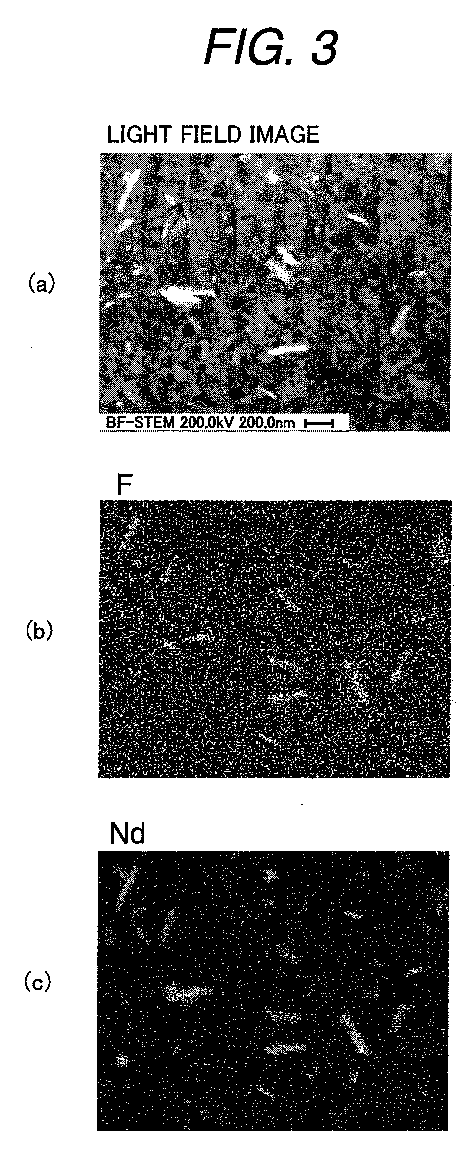 Rare earth magnet and manufacturing method thereof