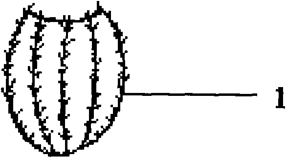 Grafting and modeling method for potted ornamental plants